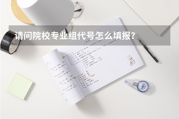 请问院校专业组代号怎么填报？