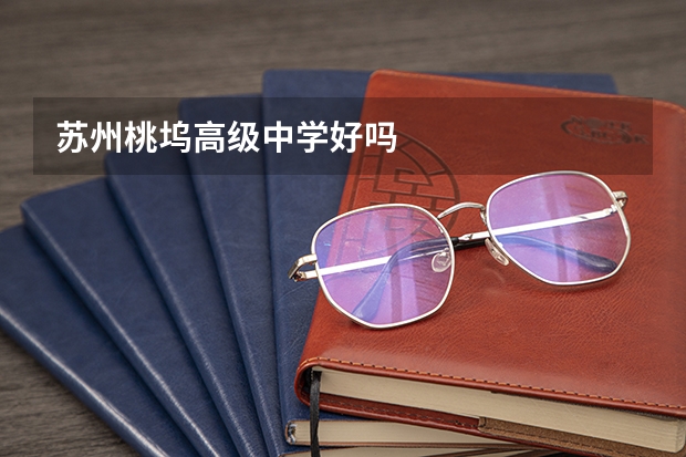 苏州桃坞高级中学好吗