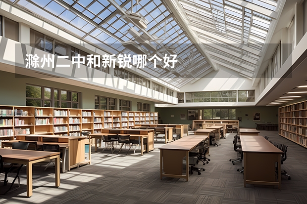 滁州二中和新锐哪个好