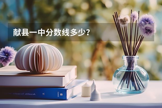 献县一中分数线多少？