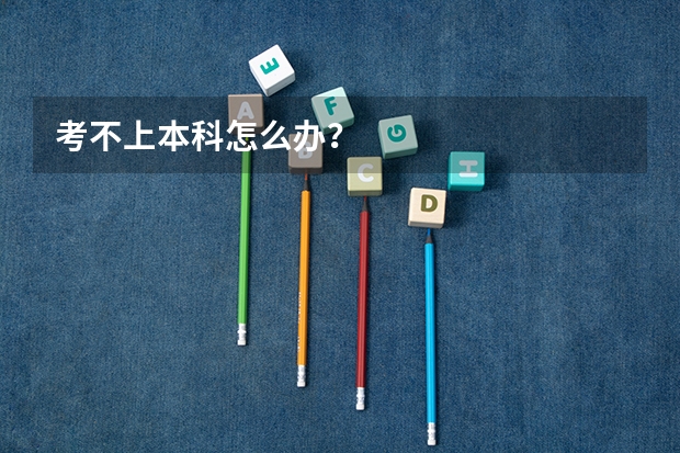考不上本科怎么办?