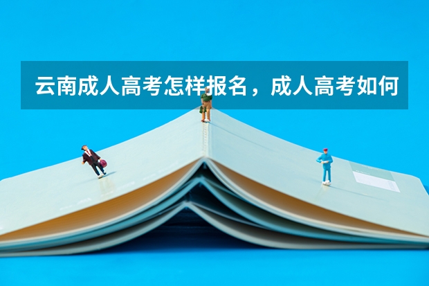 云南成人高考怎样报名,成人高考如何报名