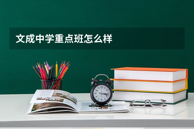 文成中学重点班怎么样