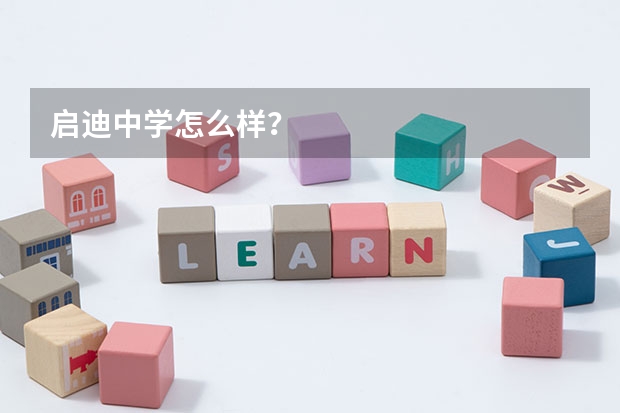 启迪中学怎么样?