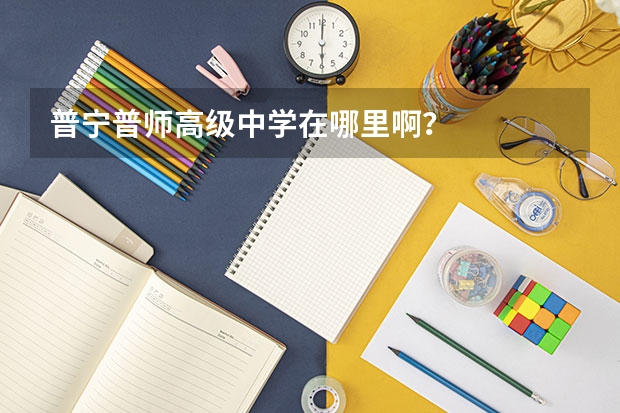 普宁普师高级中学在哪里啊？