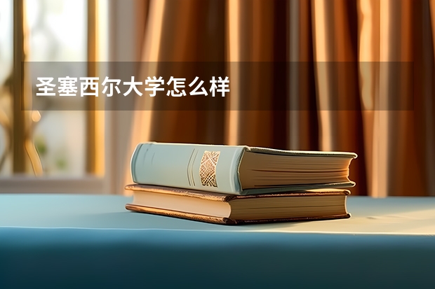 圣塞西尔大学怎么样