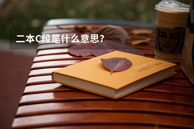 二本C段是什么意思？