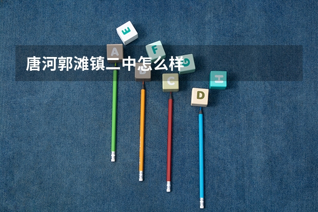 唐河郭滩镇二中怎么样