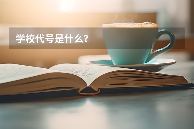 学校代号是什么？