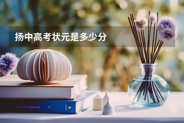 扬中高考状元是多少分