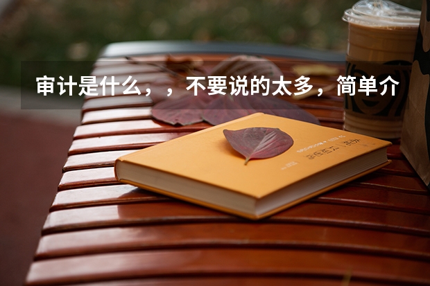 审计是什么,,不要说的太多,简单介绍下就好了,,,,高考志愿需要