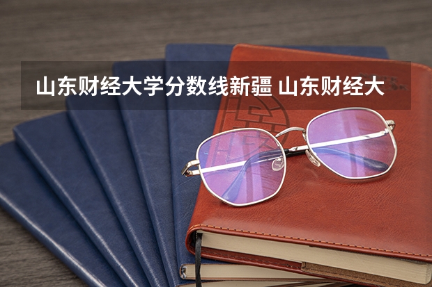 山东财经大学分数线新疆 山东财经大学在山东的录取分数线