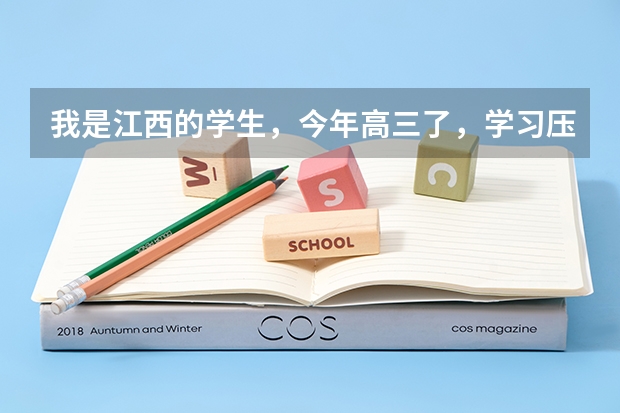 我是江西的学生，今年高三了，学习压力实在太大，准备学传媒考大学，但我之前没学过，有推荐吗？