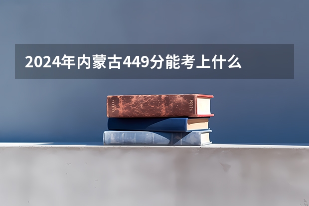 2024年内蒙古449分能考上什么大学？