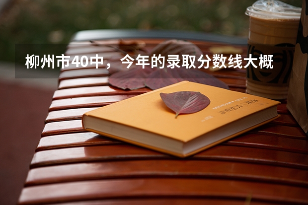 柳州市40中,今年的录取分数线大概多少?急。急。急..!