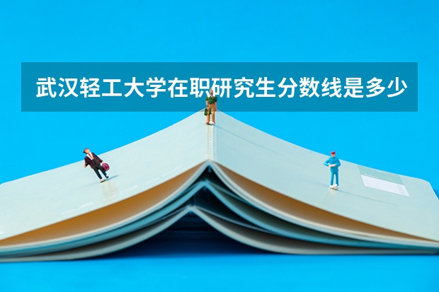 武汉轻工大学在职研究生分数线是多少