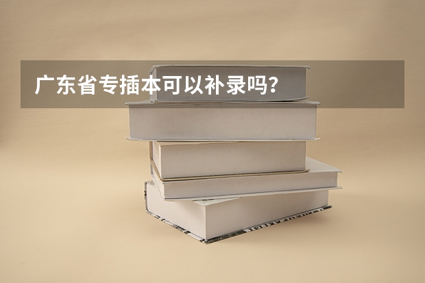 广东省专插本可以补录吗?