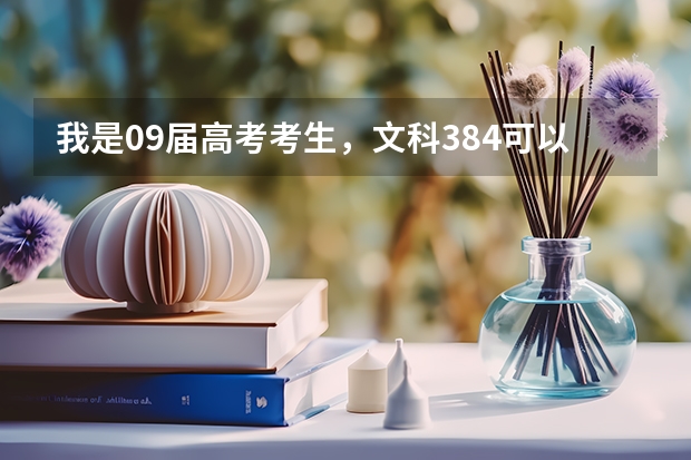我是09届高考考生,文科384可以进江门职业技术学院吗?