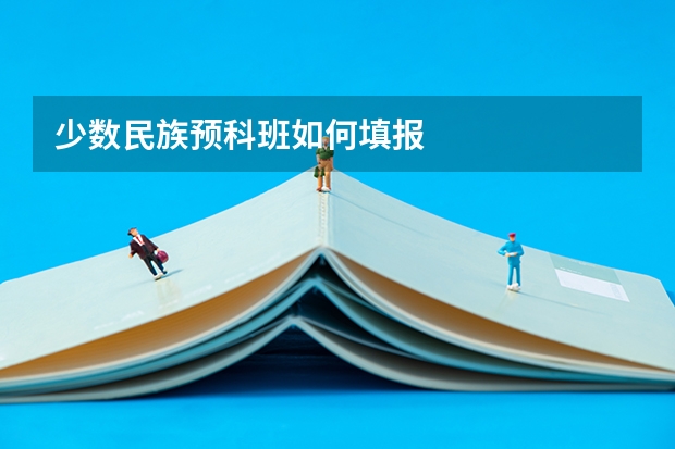 少数民族预科班如何填报