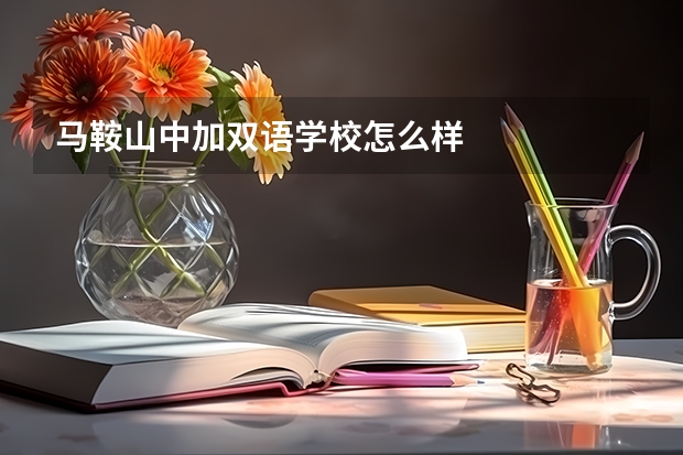 马鞍山中加双语学校怎么样