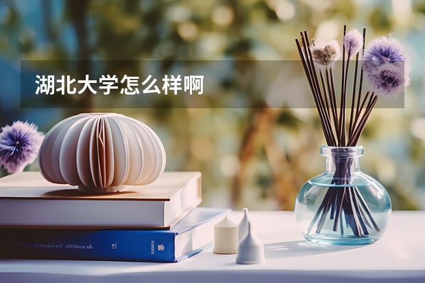 湖北大学怎么样啊