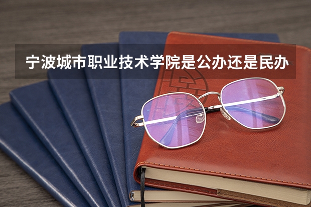 宁波城市职业技术学院是公办还是民办(浙江单招单考分数线)