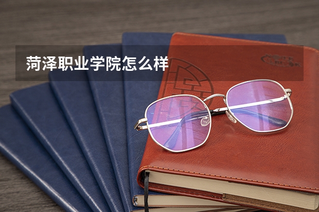 菏泽职业学院怎么样