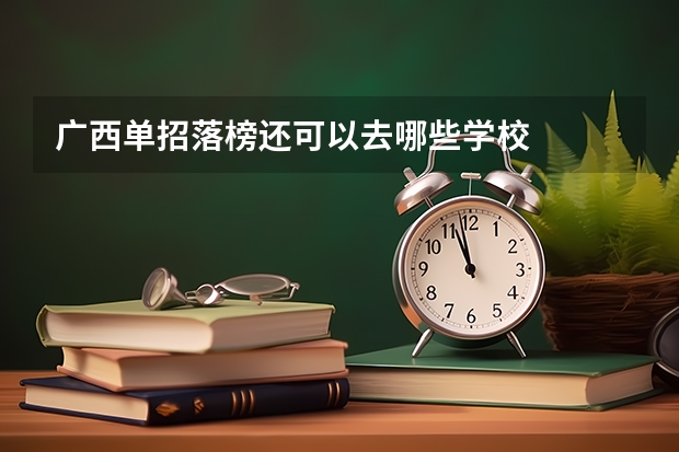 广西单招落榜还可以去哪些学校