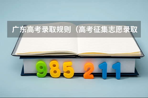 广东高考录取规则（高考征集志愿录取几率多大）