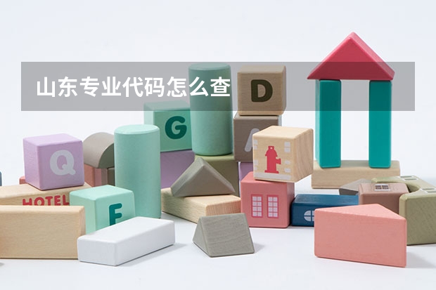 山东专业代码怎么查