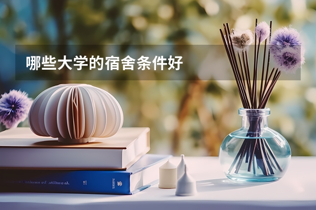 哪些大学的宿舍条件好