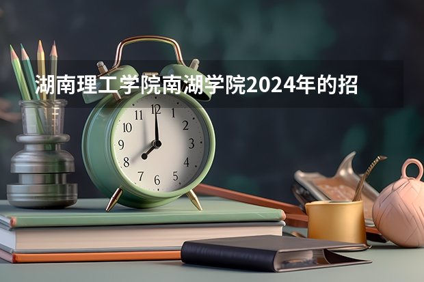 湖南理工学院南湖学院2024年的招生分数高吗
