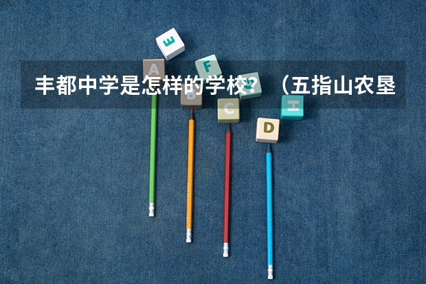 丰都中学是怎样的学校?(五指山农垦实验中学和屯昌中学对比)