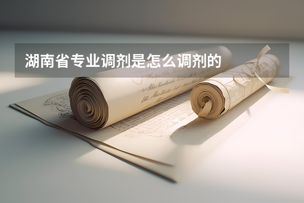湖南省专业调剂是怎么调剂的