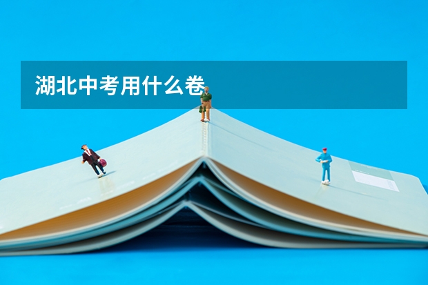 湖北中考用什么卷