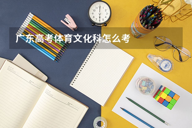 广东高考体育文化科怎么考