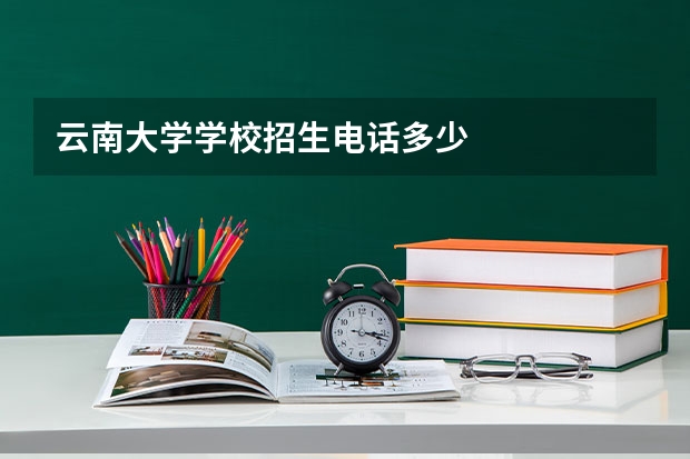 云南大学学校招生电话多少