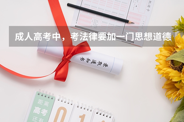 成人高考中，考法律要加一门思想道德修养与法律基础，这科是单独考一场吗