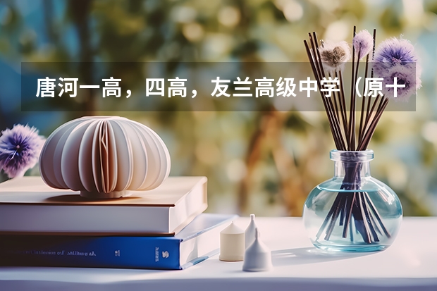 唐河一高，四高，友兰高级中学（原十九中）录取分数线是多少？