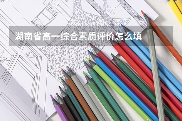 湖南省高一综合素质评价怎么填