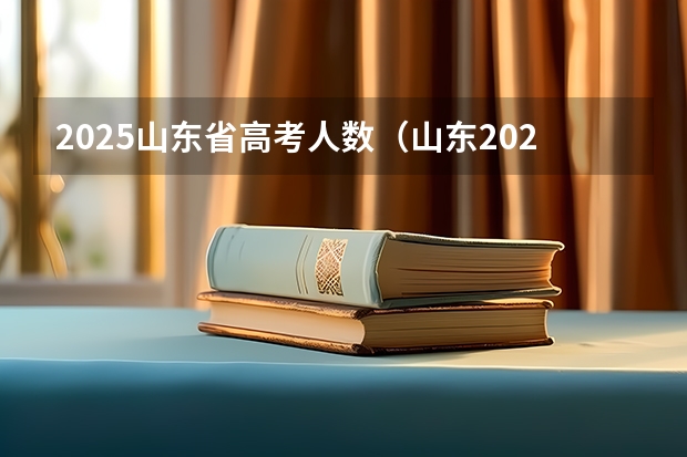 2025山东省高考人数（山东2025高考报名人数）