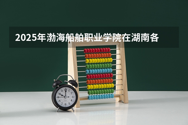 2025年渤海船舶职业学院在湖南各专业都招多少人