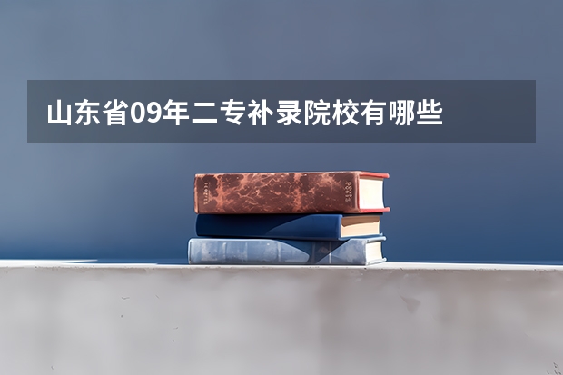 山东省09年二专补录院校有哪些