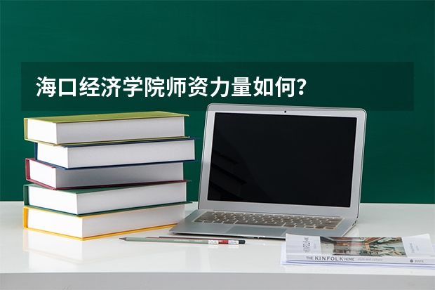 海口经济学院师资力量如何？