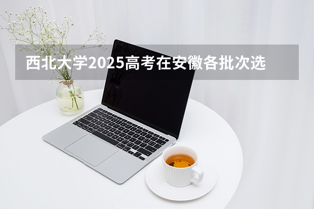 西北大学2025高考在安徽各批次选科要求如何