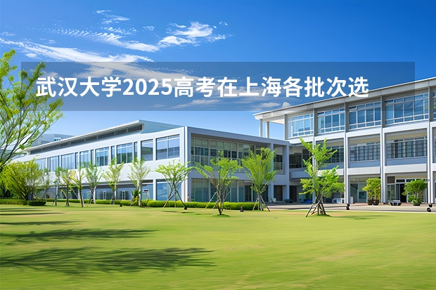 武汉大学2025高考在上海各批次选科要求如何