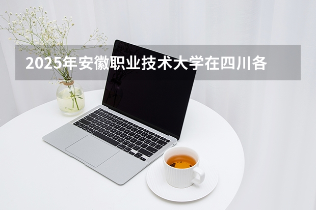 2025年安徽职业技术大学在四川各专业都招多少人