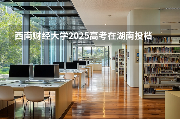 西南财经大学2025高考在湖南投档分数线