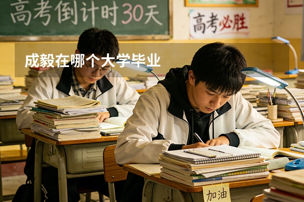 成毅在哪个大学毕业