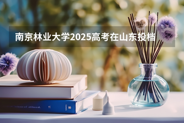 南京林业大学2025高考在山东投档分数线